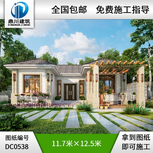 新農(nóng)村一層經(jīng)濟(jì)型自建別墅設(shè)計圖紙及效果圖_農(nóng)村平房別墅圖紙,鼎川建筑